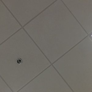 Meet your Posher, Brady